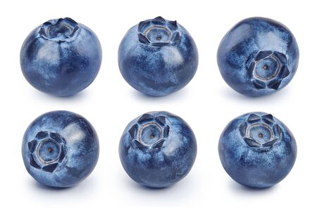 Set of fresh blueberries isolated on white background. Collection of raw bluberry.の写真素材