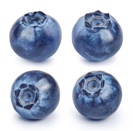 Set of fresh blueberries isolated on white background. Collection of raw bluberry.の写真素材