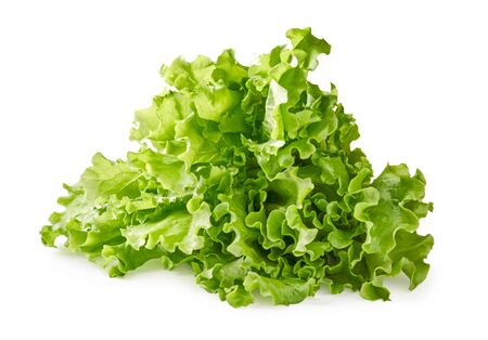 Salad leaves isolated on white background.の写真素材