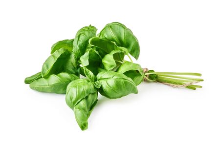 Green fresh basil leaves isolated on white.の写真素材