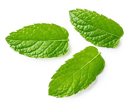 Mint leaves isolated on white background. Top view of mintの写真素材