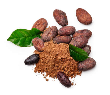Cocoa beans with cocoa leaves and cocoa powder isolated on white. Top view.の写真素材