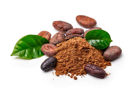 Cocoa beans with cocoa leaves and cocoa powder isolated on whiteの写真素材
