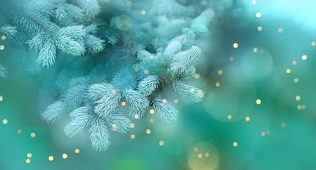 Christmas tree outdoor, lights bokeh around. Christmas atmosphere. Mystery Christmas branch tree.の写真素材