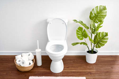 Modern toilet, great design for any purposes. Ceramic toilet bowl with toilet paper near light wallの写真素材
