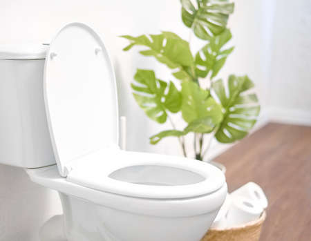 Modern toilet, great design for any purposes. Ceramic toilet bowl with toilet paper near light wallの写真素材