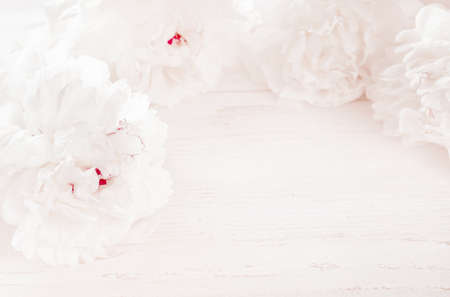 Beautiful white peony flowers on pastel pink background. Close up of white peonies flowers. Light background with peonies.の写真素材