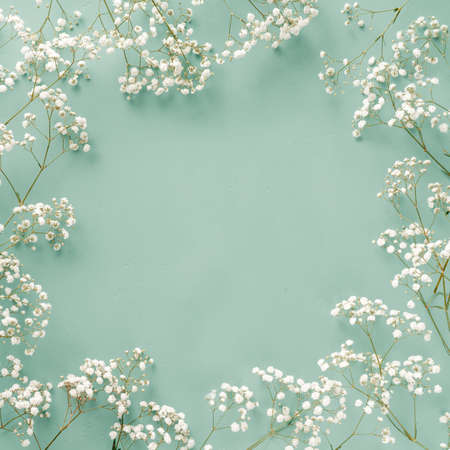 Flowers composition. White flowers on turquoise blue background. Wedding mockup with small flowers. Flat lay, top view, frame. Gypsophila Babys-breath flowersの写真素材