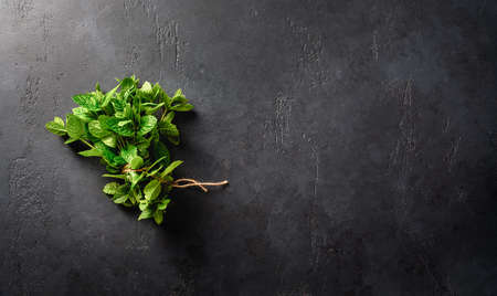 Fresh mint on dark concrete background. Top view of a bunch of mint and mint leaves. Copy space for your design.の写真素材