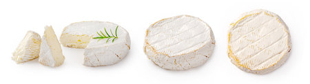 Fresh camembert cheese with sliced camembert isolated. Camembert cheese piece with rosemary on white background. Set of camembert cheeses.の写真素材