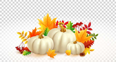 White pumpkins and autumn leaves on transparent background. Autumn festival invitation. Fall party template. Postcard or banner. 3d realistic vector illustration.のイラスト素材