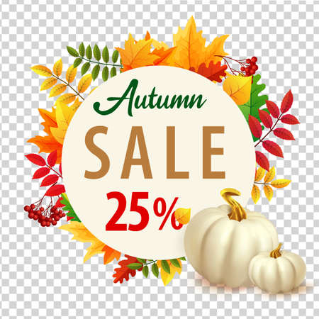Sale background with autumn leaves, white pumpkins and orange pumpkin. 3d realistic vector illustration of autumn background.のイラスト素材
