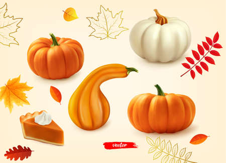 Piece of pumpkin pie with whipped cream and pumpkins. 3d realistic vector illustration of pumpkin pie. Autumn composition from white pumpkin, yellow pumpkins and autumn leaves for card, poster, webのイラスト素材