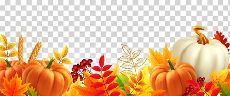 White and yellow pumpkins, orange leaves on transparent background. Autumn festival invitation. Border from autumn leaves and pumpkins. Postcard or banner. 3d realistic vector illustration.のイラスト素材