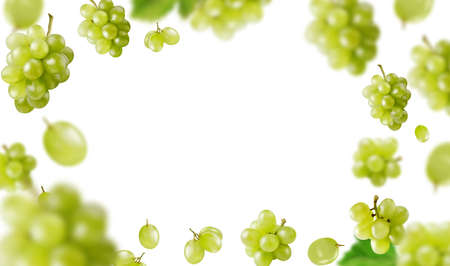 Background with grapes and leaves. Green grapes in fly on green background. Realistic vector illustration.のイラスト素材