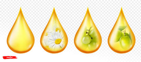 Oil drop isolated on transparent background. Realistic vector illustration of chamomile oil drop. Grape and olive oilのイラスト素材
