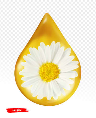 Oil drop with chamomile flower isolated on transparent background. Realistic vector illustration of chamomile oil drop.のイラスト素材