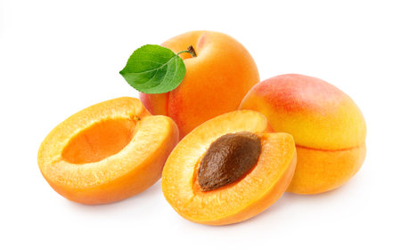 Apricot fruit with half of apricot and apricot kernel isolated on white background.の写真素材