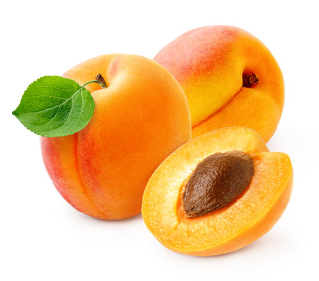 Apricot fruit with half of apricot and apricot kernel isolated on white background.の写真素材
