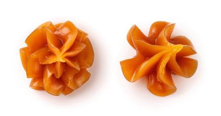 Set of caramel isolated. Top view of melted caramel on white.の写真素材