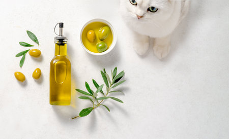 Olives and olive oil in white bowl. Bottle of olive oil with olive leaves on white background. Cute British cat. Mockup for package. Copy space.の写真素材
