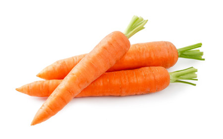 Fresh carrot isolated. Two whole carrots and half of carrot on white background.の写真素材