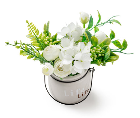 White flowers in pot isolated on white background.の写真素材