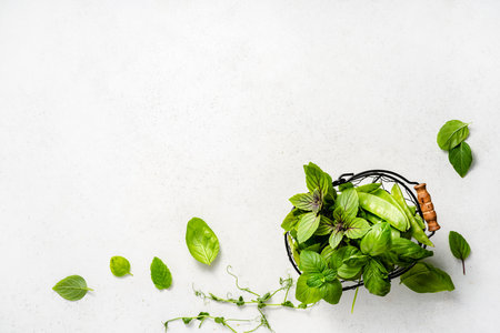 Food cooking background with herbs. Top view of assortment of basil leaves on white background.の写真素材