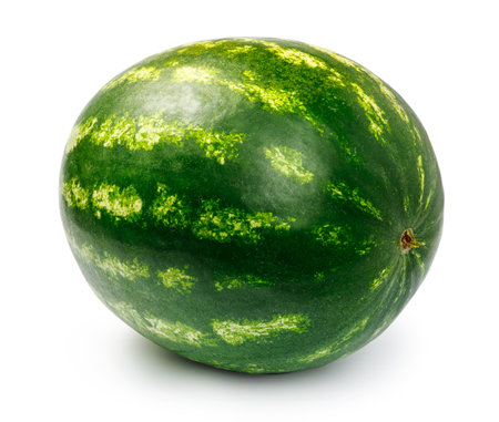 Watermelon isolated on white. Whole watermelon.の写真素材