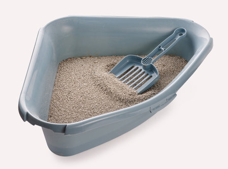 Cat litter box with scoop. Cat litter isolated on white.の写真素材
