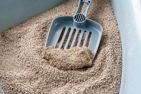 Cat litter box with scoop.の写真素材