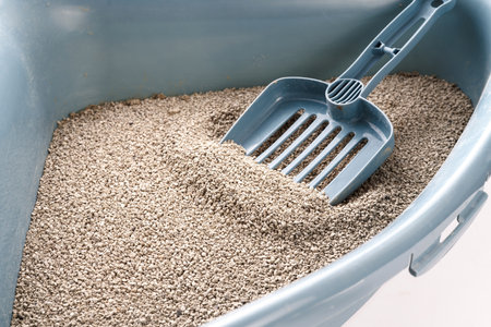 Cat litter box with scoop.の写真素材