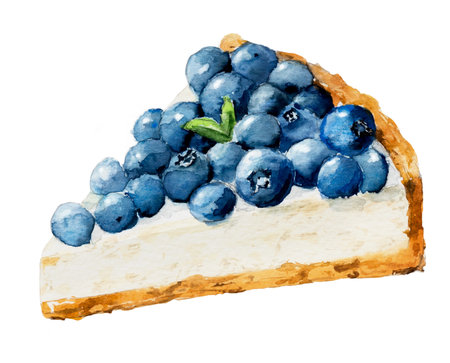 Blueberry pie with berries. Hand drawn watercolor. Slice of tasty berries cake isolated. Watercolor illustration.の写真素材