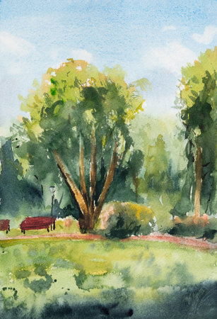 Watercolor landscapes. Hand draw. Summer park.の写真素材