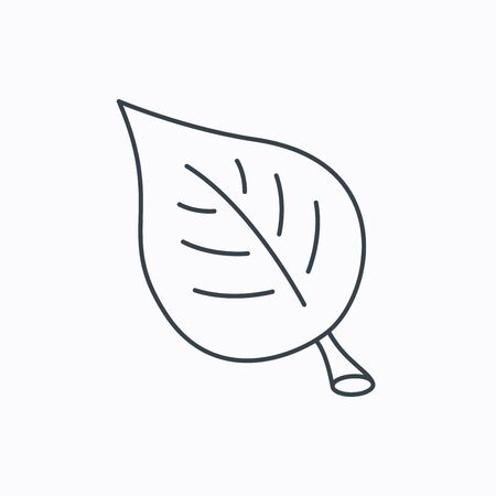Leaf icon. Natural eco sign. Environment symbol. Linear outline icon on white background. Vectorのイラスト素材