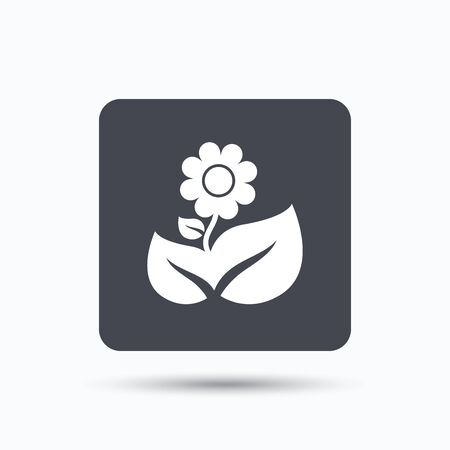 Flower icon. Florist plant with leaf symbol. Gray square button with flat web icon. Vectorのイラスト素材