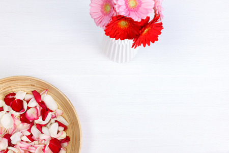 Petals of roses on white painted rustic background. Fresh natural Gerbera flowers in bowl. Dirty grunge wooden board.の写真素材