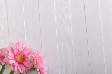 Pink gerbera flowers on white wood vintage background. 8 march or Valentines day love design. Fresh natural flowers. Painted wooden planks.の写真素材