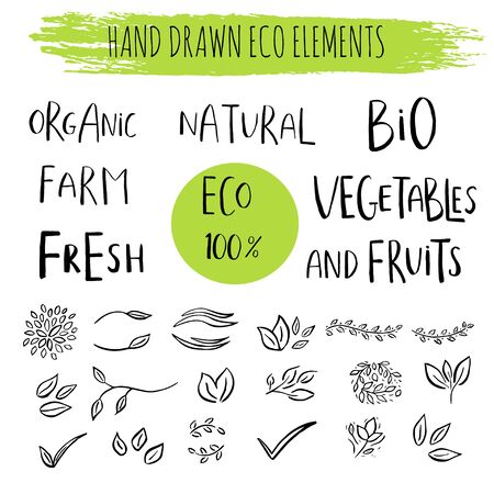 Vector floral with leaves, branches, plant elements isolated on white background.のイラスト素材