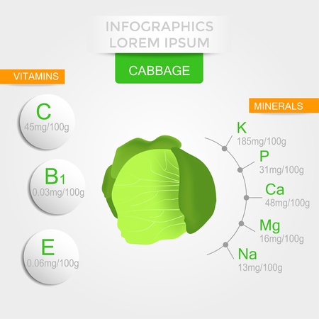 Healthy vegetables infographics with  cabbage, vitamins and minerals. Quality vector illustration about diet, eco food, benefits of vegan and nutrition concept.のイラスト素材