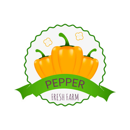 Collection of Badge, logo or tag with realistic healthy vegetables such as: carrot, tomato, pepper, eggplant, pumpkin, marrow, zucchini. Quality vector banner about diet, eco foodのイラスト素材