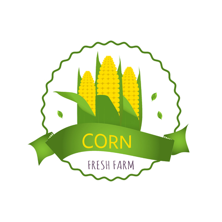 Collection of Badge, logo or tag with realistic healthy vegetables such as: carrot, tomato, pepper, eggplant, pumpkin, marrow, zucchini. Quality vector banner about diet, eco foodのイラスト素材