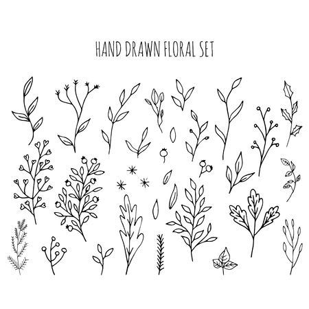 Collection of hand drawn vector florals and branches with leaves, flowers, berries. Modern sketch collection. Decorative elements for design. Ink, vintage vector.のイラスト素材