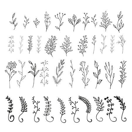 Collection of hand drawn vector florals and branches with leaves, flowers, berries. Modern sketch collection. Decorative elements for design. Ink, vintage vector.のイラスト素材