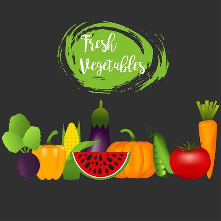 Collection of realistic healthy vegetables such as: carrot, tomato, pepper, eggplant, pumpkin, marrow, zucchini.のイラスト素材