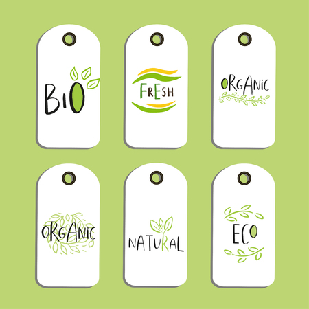 Set of Vector eco badge or tag, bio green logo. Vegan sign for cafe, restaurants, products packaging. Hand drawn leaves, branches, plant elements with lettering. Organic design template.のイラスト素材