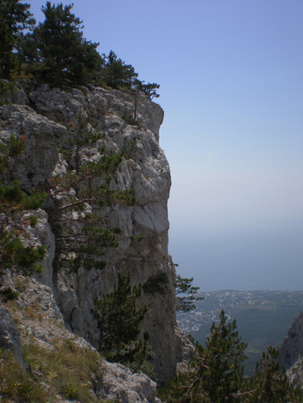 On a rock coniferous trees grow.The landscape is against the blue sky.の写真素材