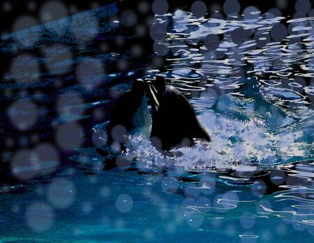 On black and dark blue colour with elements of a moonlight and degradation in the centre is two dolphinsの写真素材