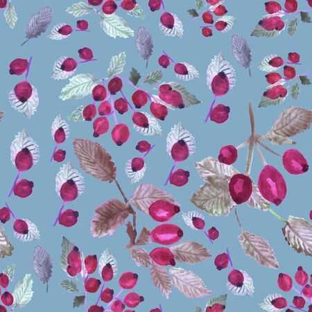 On a light blue background there are watercolor drawing red rose hips with branches and white, gray, green leaves. Seamless ornament.の写真素材