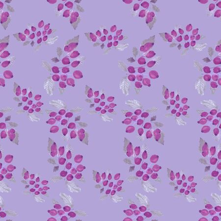 On the lilac background are the watercolor drawing pink rosehips with branches and white, light leaves. Seamless ornamentの写真素材